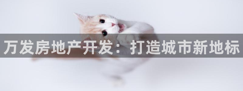 万向娱乐公司 585.34I 娱乐