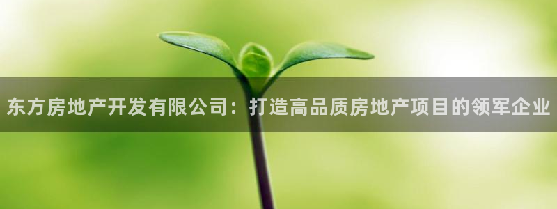 万向娱乐代理好看视频
