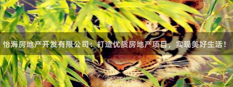 万向娱乐官网网址是多少