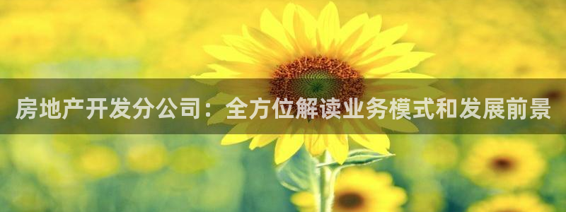 万向娱乐登陆