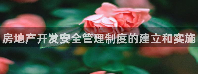 万向娱乐app下载安装