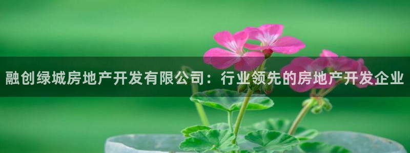 万向娱乐灯333OO