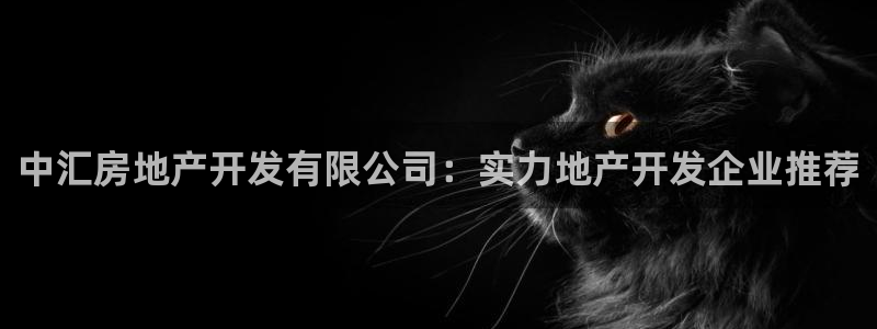 万向娱乐的494o3 主管