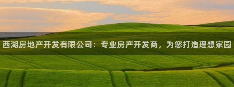 万向娱乐网址是什么