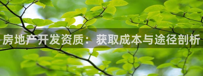 万向娱乐平台代理怎么做赚钱