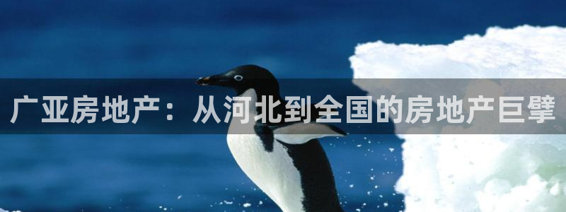 万向娱乐平台提现多久到账