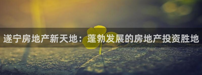 万向娱乐app下载安装