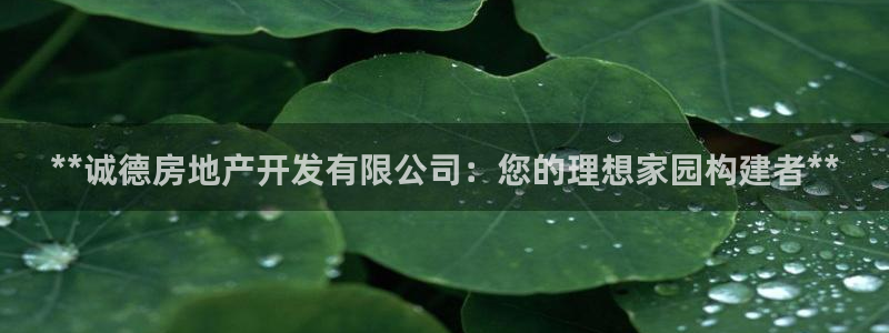 万向娱乐平台代理多少钱一个月