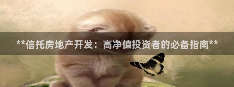 万向娱乐的494o3 主管