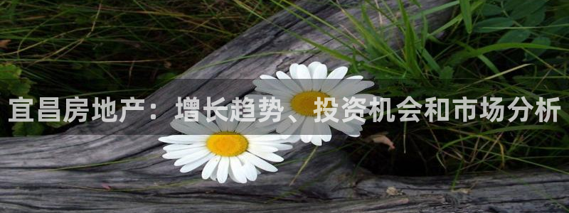 万向娱乐平台代理多少钱一个