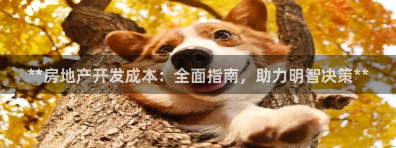 万向娱乐招商