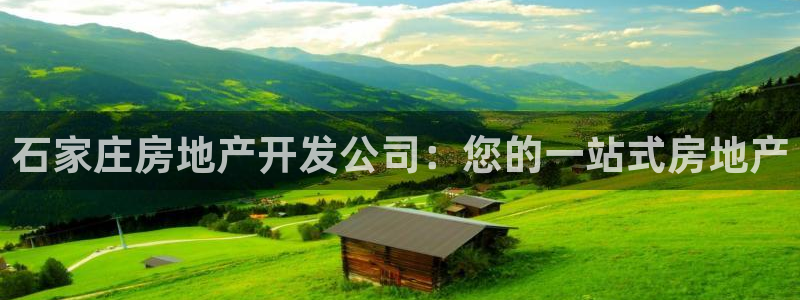 万向娱乐老板