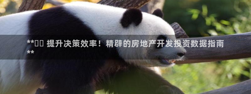 万向娱乐王者荣耀