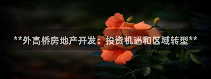 万向娱乐代理好看视频