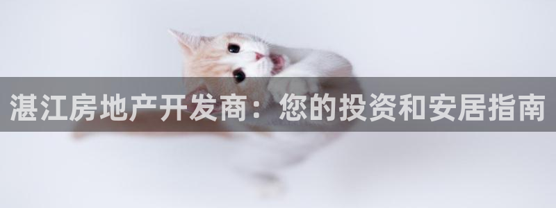 万向娱乐平台代理多少钱