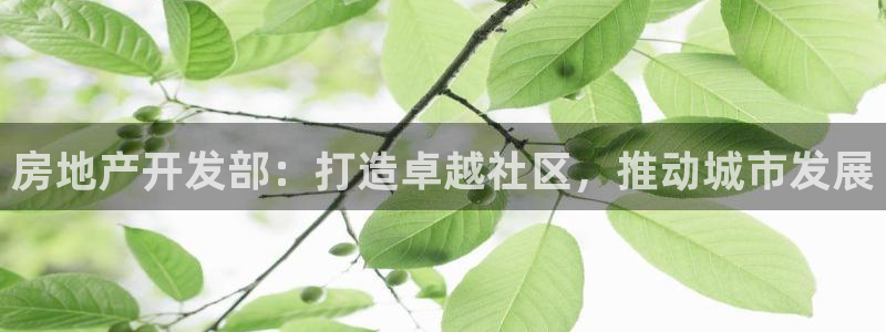 万向娱乐app下载官网