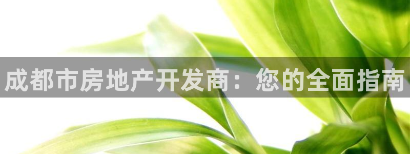 万向娱乐官网网址是什么