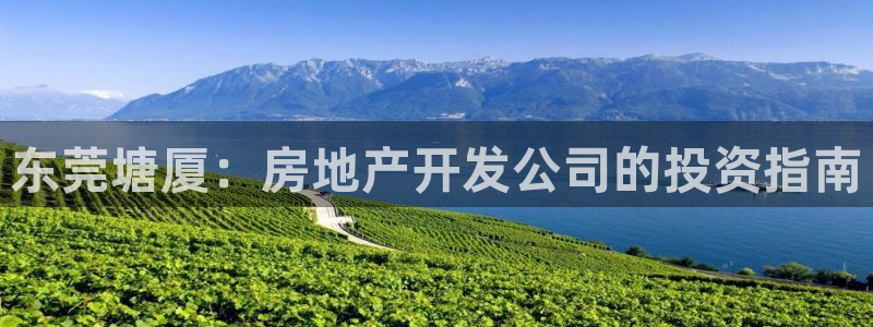 万象国际娱乐网址