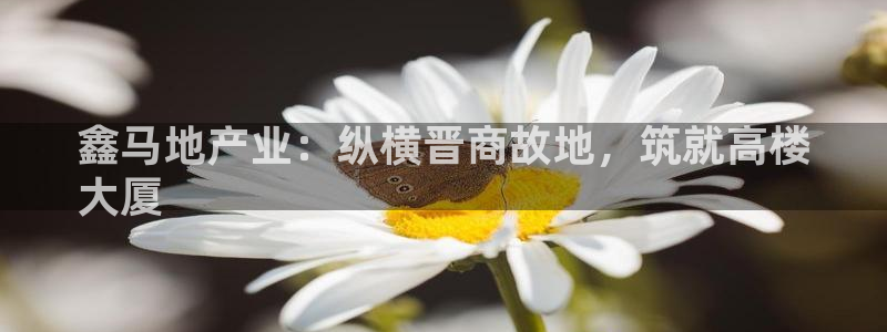 万向娱乐平台怎么下载