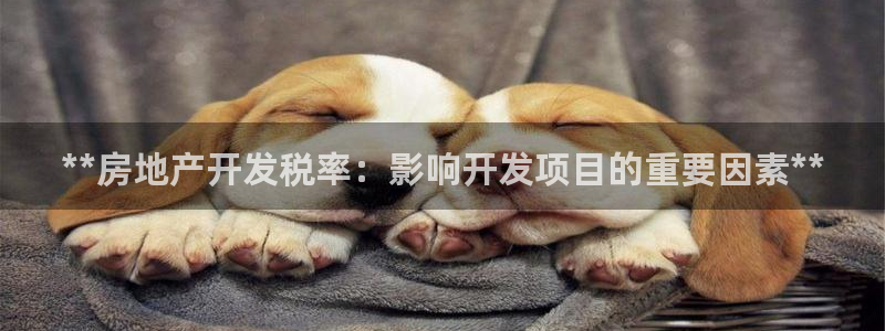 万向娱乐平台代理多少钱一个