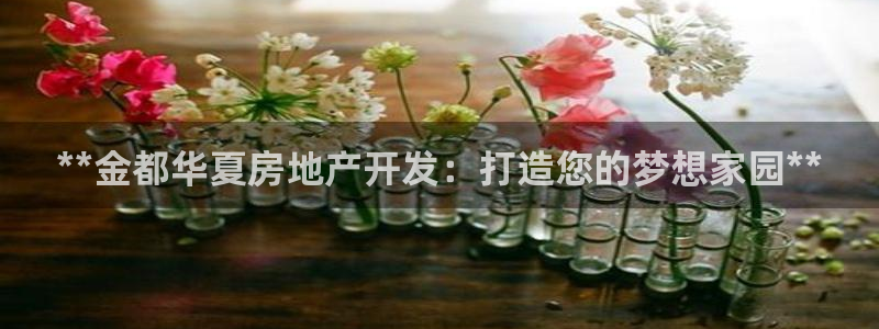 万向娱乐的494o3 主管