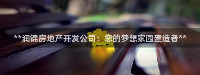 万向娱乐代理好看视频