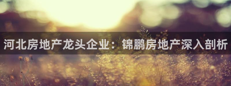 万向娱乐平台代理怎么做赚钱