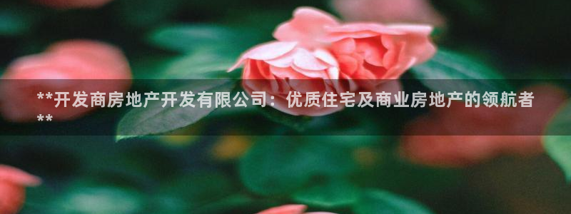 万向娱乐官网下载安装最新版