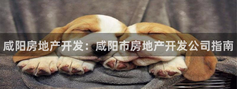 万向娱乐平台下载安装