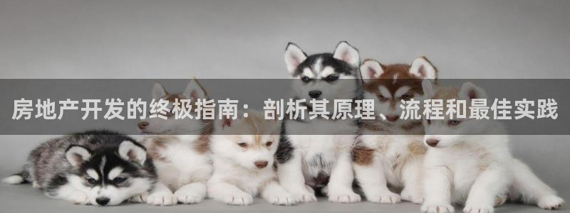 万向娱乐总代