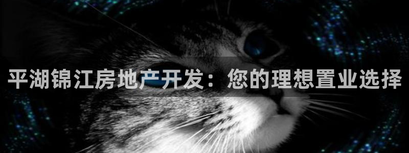 万向娱乐官网下载安装