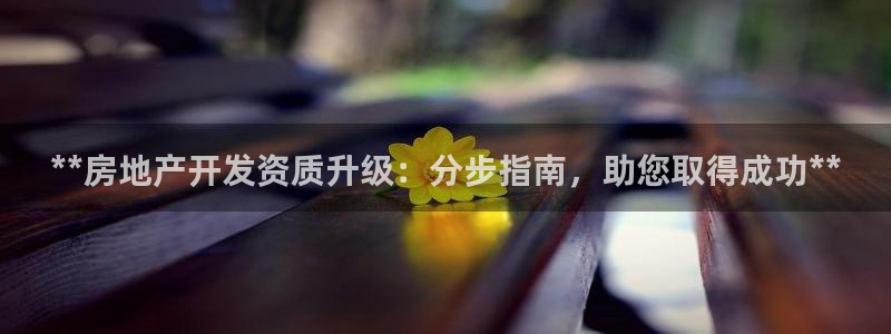 万向娱乐app