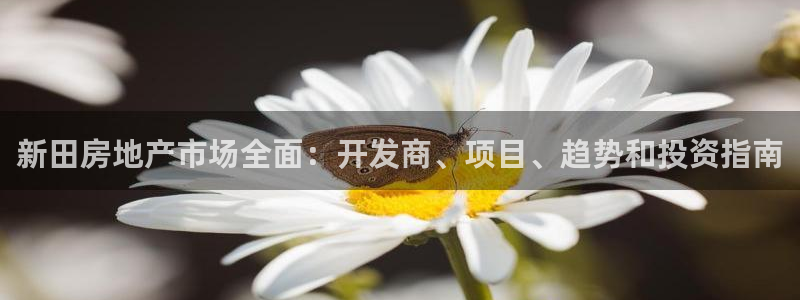 万向娱乐app下载