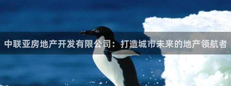 万向娱乐是哪个旗下