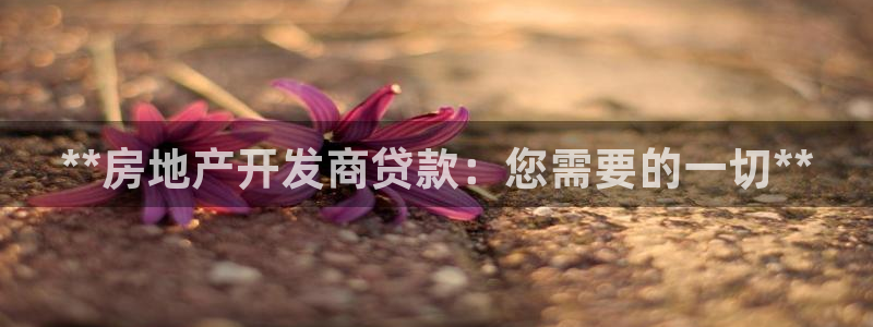万向娱乐平台代理多少钱一年