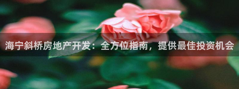 万象国际娱乐网址