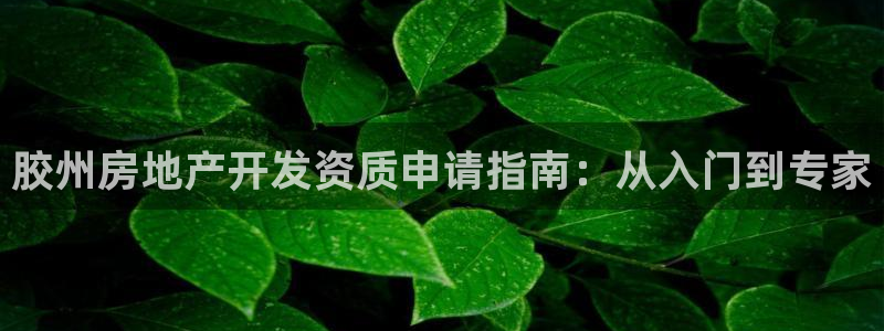万向娱乐app下载