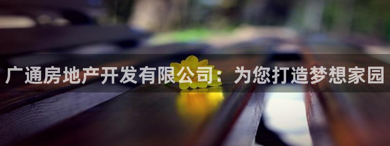 万向娱乐的494o3 主管