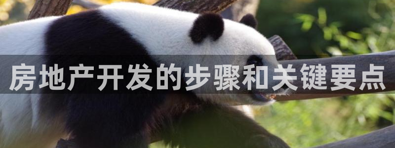 万向娱乐平台代理怎么样赚钱