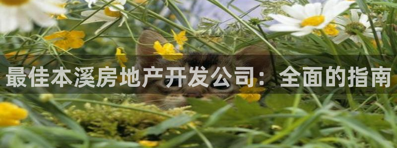 万向娱乐公司官网首页