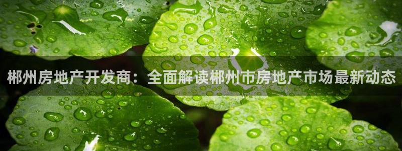 万向娱乐挂机软件