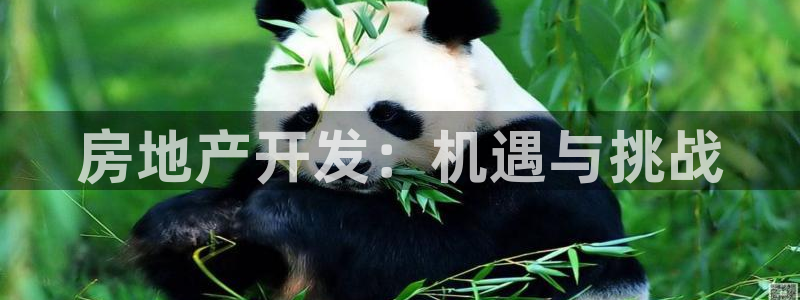 万向娱乐官网