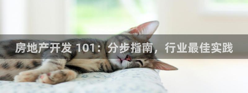 万向娱乐挂机软件