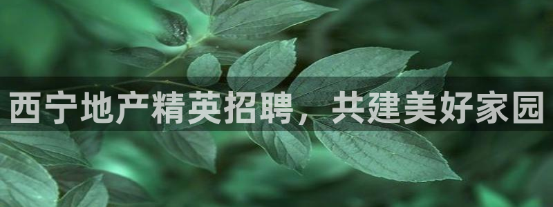 万向娱乐平台代理怎么做赚钱