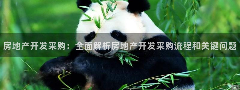 万向娱乐平台代理多少钱一个月