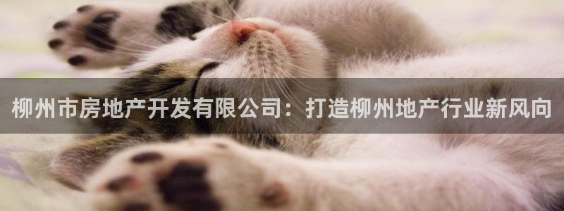 万向娱乐挂机软件