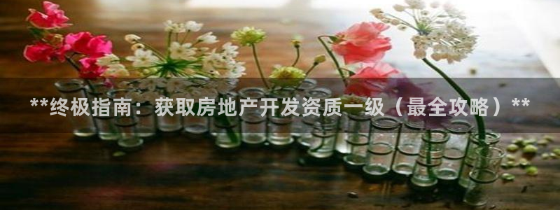 万向娱乐官网网址大全