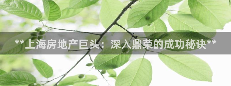 万向娱乐是野鸡台吗