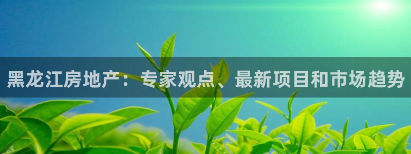 万向娱乐老板