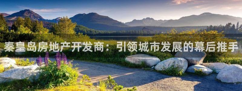 万向娱乐登陆官网入口